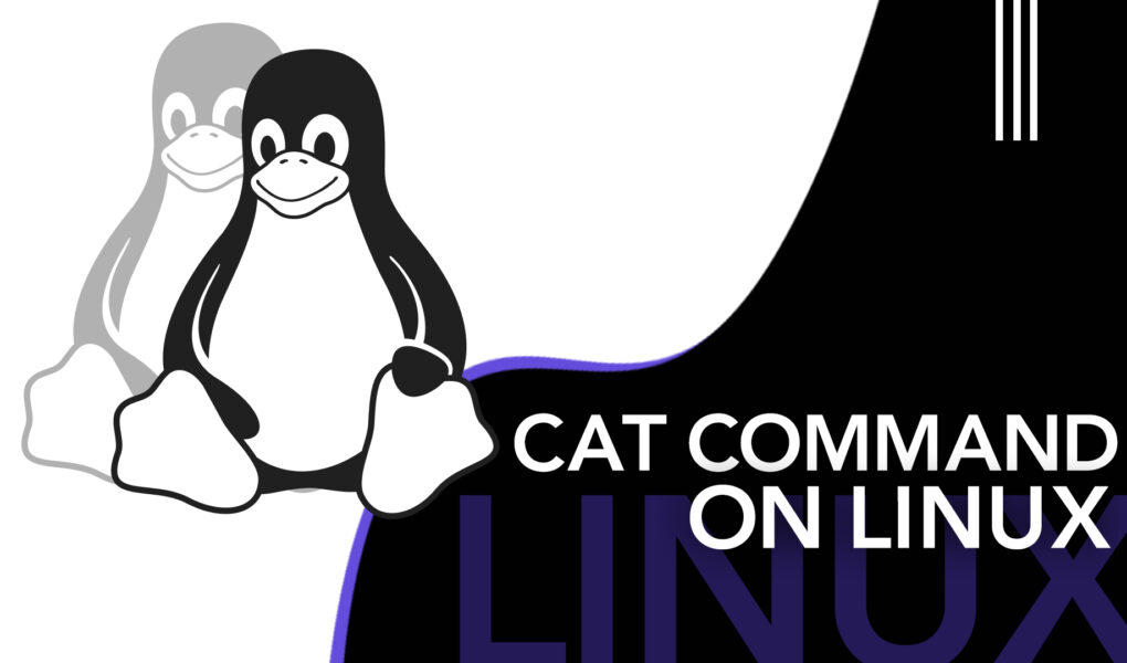 Cat command on Linux LinuxWays