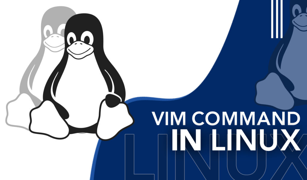 Vim Command on Linux for Beginners LinuxWays