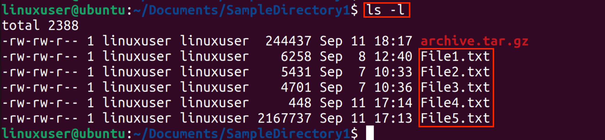 How to Extract/Unzip tar.gz Files from Linux/Ubuntu Commands? – LinuxWays