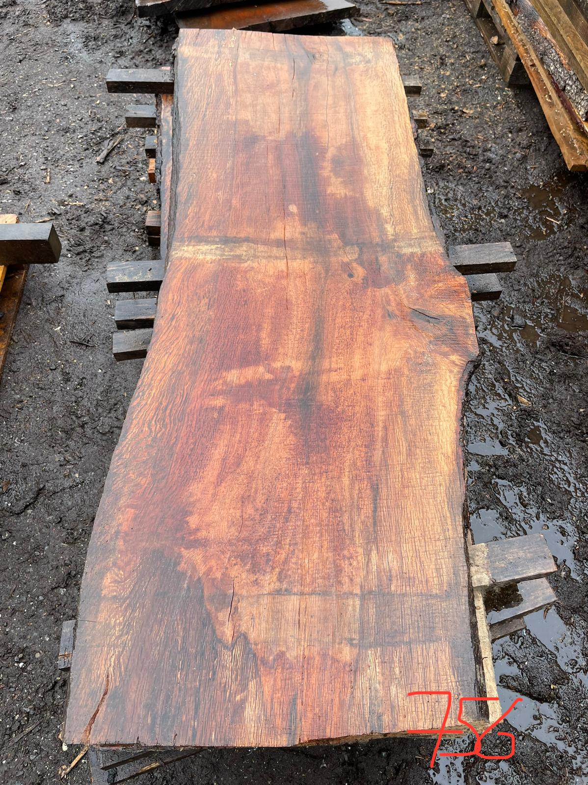 Holm Oak Linwood Timber Buy from Linwood Sawmill Dorset