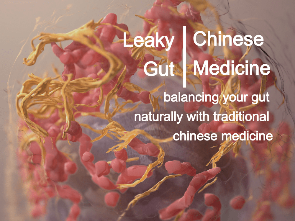 Leaky Gut & Chinese Medicine Linyana Acupuncture Studio