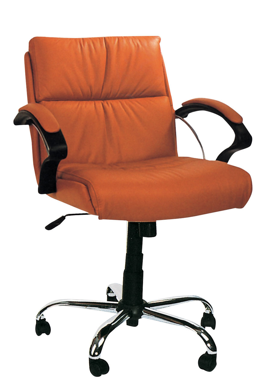 LINZ International Office Chair