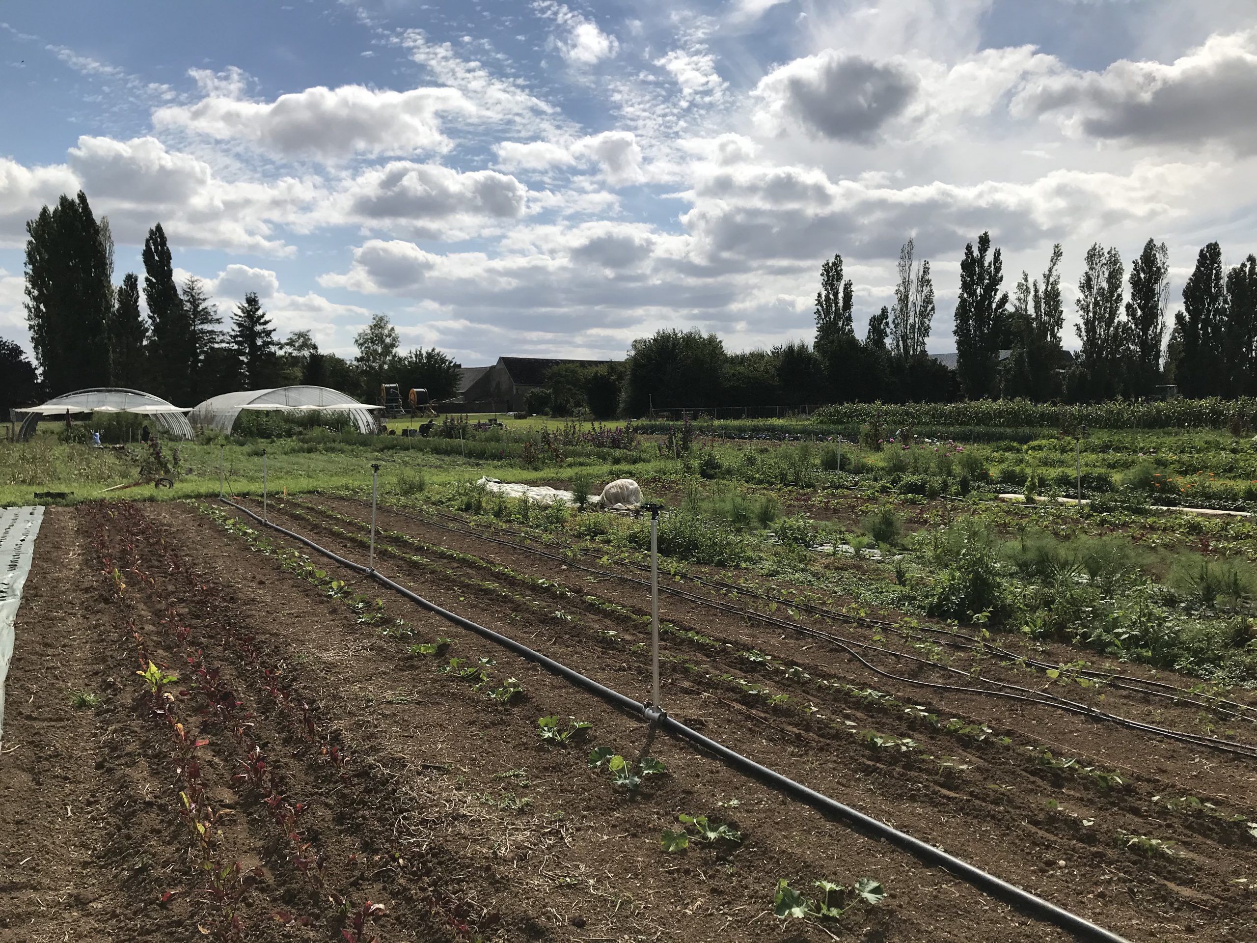 La Bêche à Mel Lioca