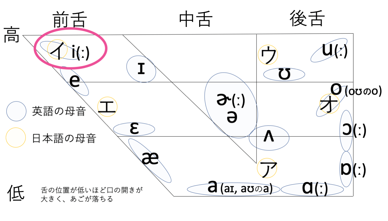 /iː/ と /ɪ/ の発音の違い・発音のコツ：音声学書籍を比較解説！ 上級英語ウェブメディア らいトレ