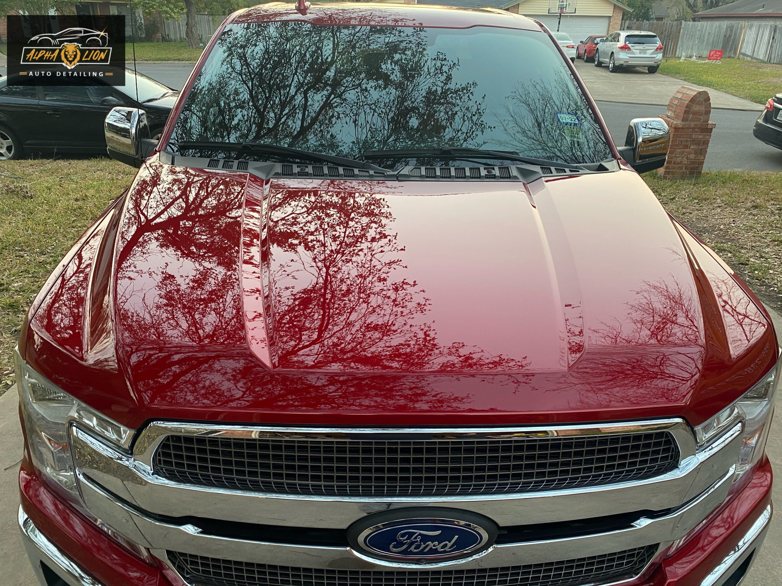 Ceramic Coating & Paint Correction Gallery Alpha Lion