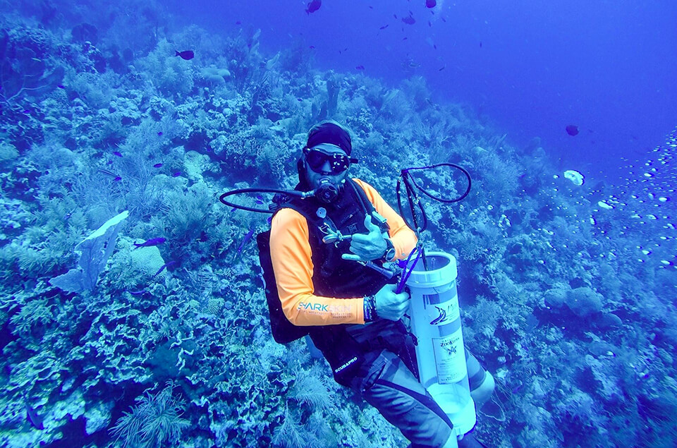 Adam Wise Lionfish Divers