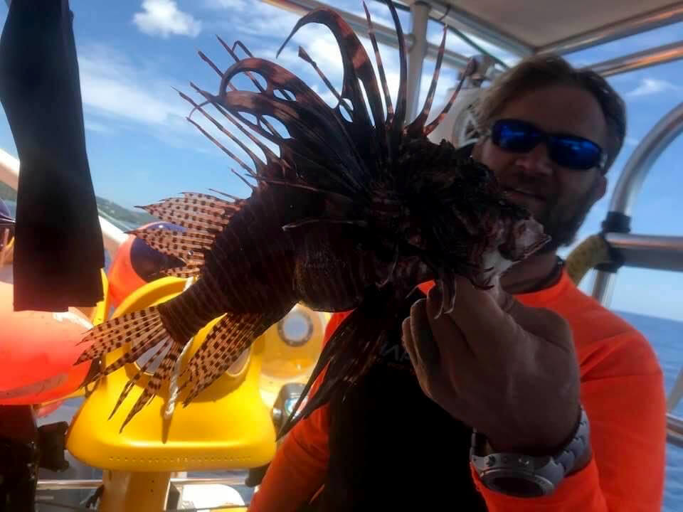 Adam Wise Lionfish Divers