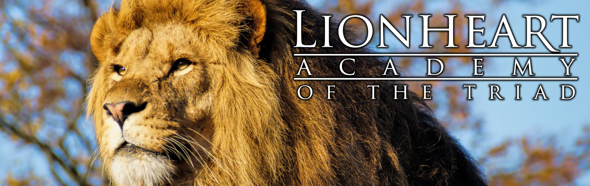 Home Lionheart Academy of the Triad