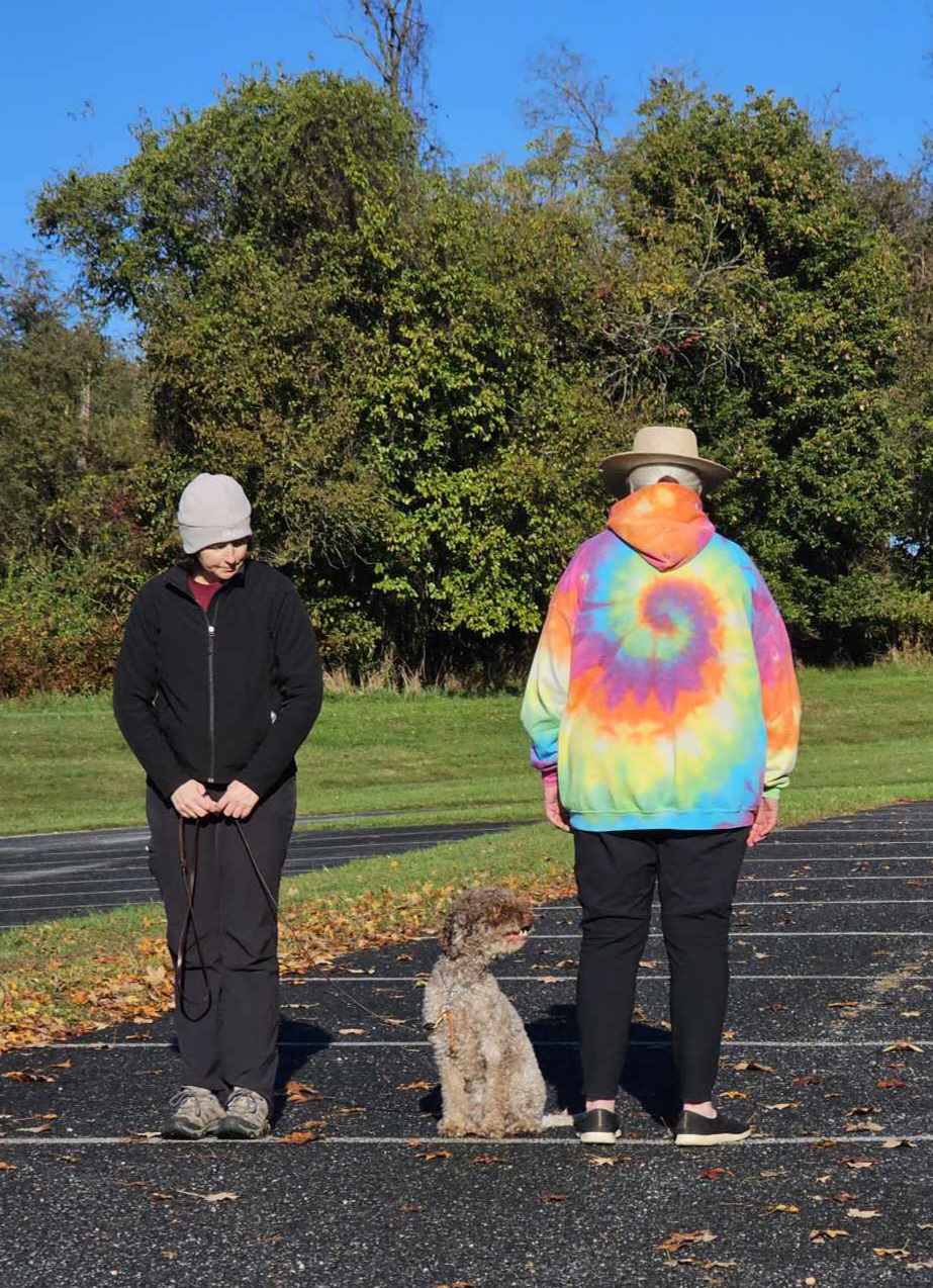 Living with a Dangerous Dog Lionheart K9 Dog and Puppy Training in