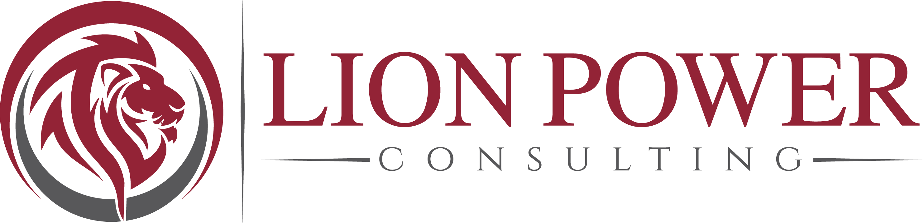 CONTRACT VEHICLES Lion Power Consulting LLC