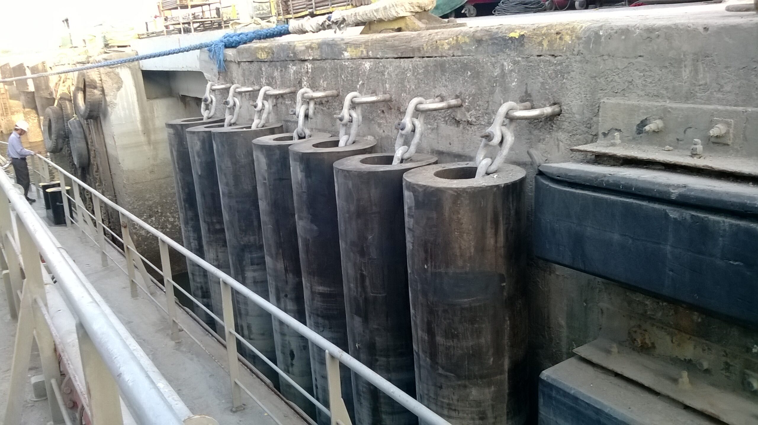 Capabilities Lion Rubber