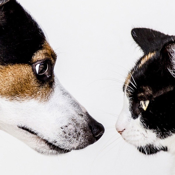 Compounding Lionville Natural Pharmacy