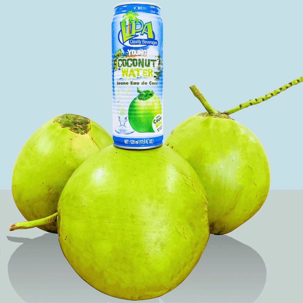 Coconut Water in Can Lipa Buko