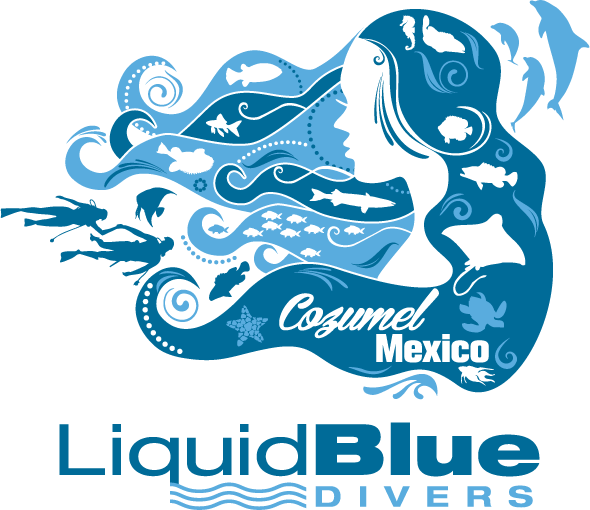 About Us Liquid Blue Divers