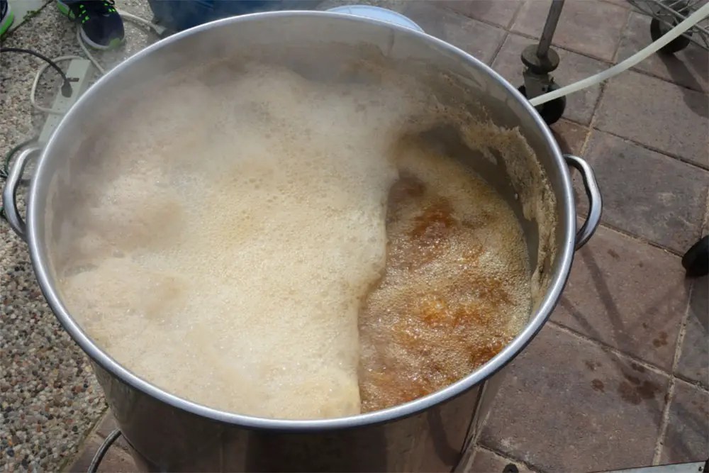 Why Is Dry Beer So Popular? Find Out Why People Go Wild For Dry Beer