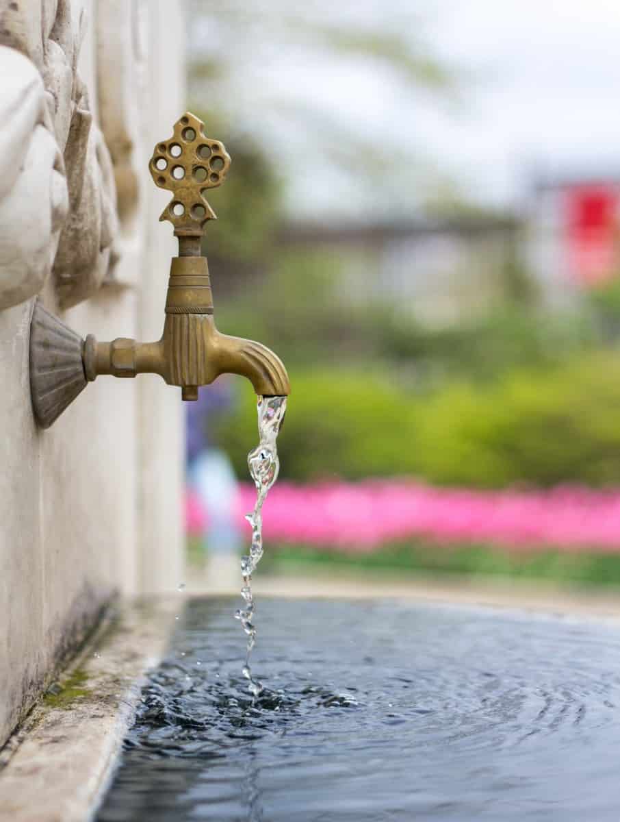 Do Water Fountains Spread Germs? A Health Safety Guide Liquid Features