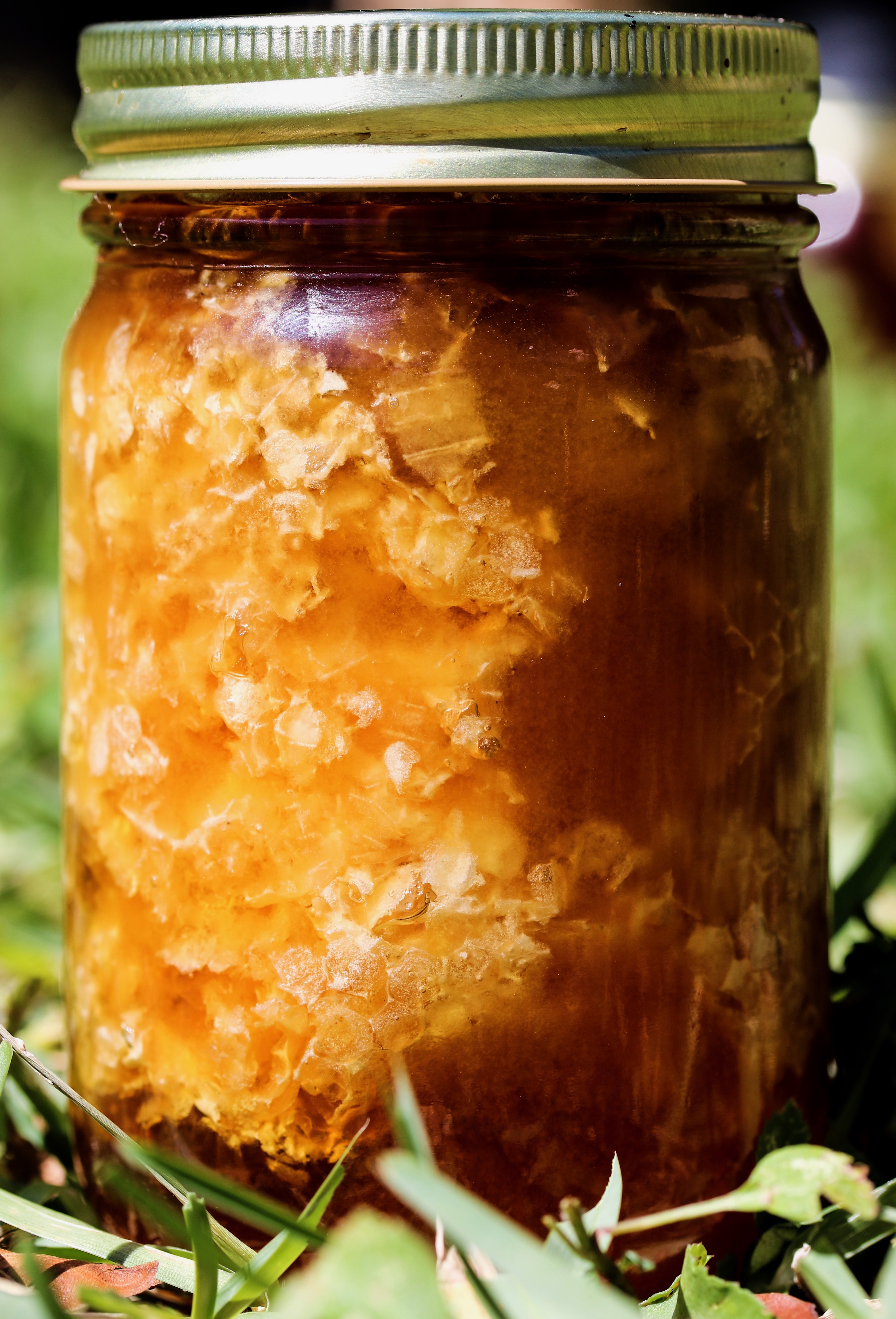 RAW Orange Blossom Honey Comb in a Jar Liquid Gold RAW Honey