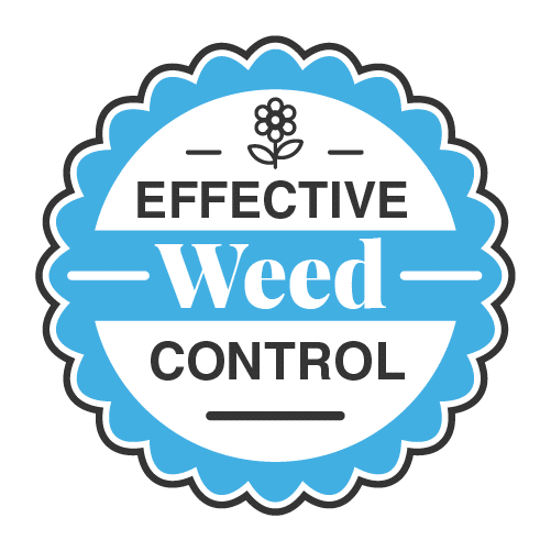 Lawn Care Services in Macon, Columbus, GA & Daytona, FL Liquid Lawn