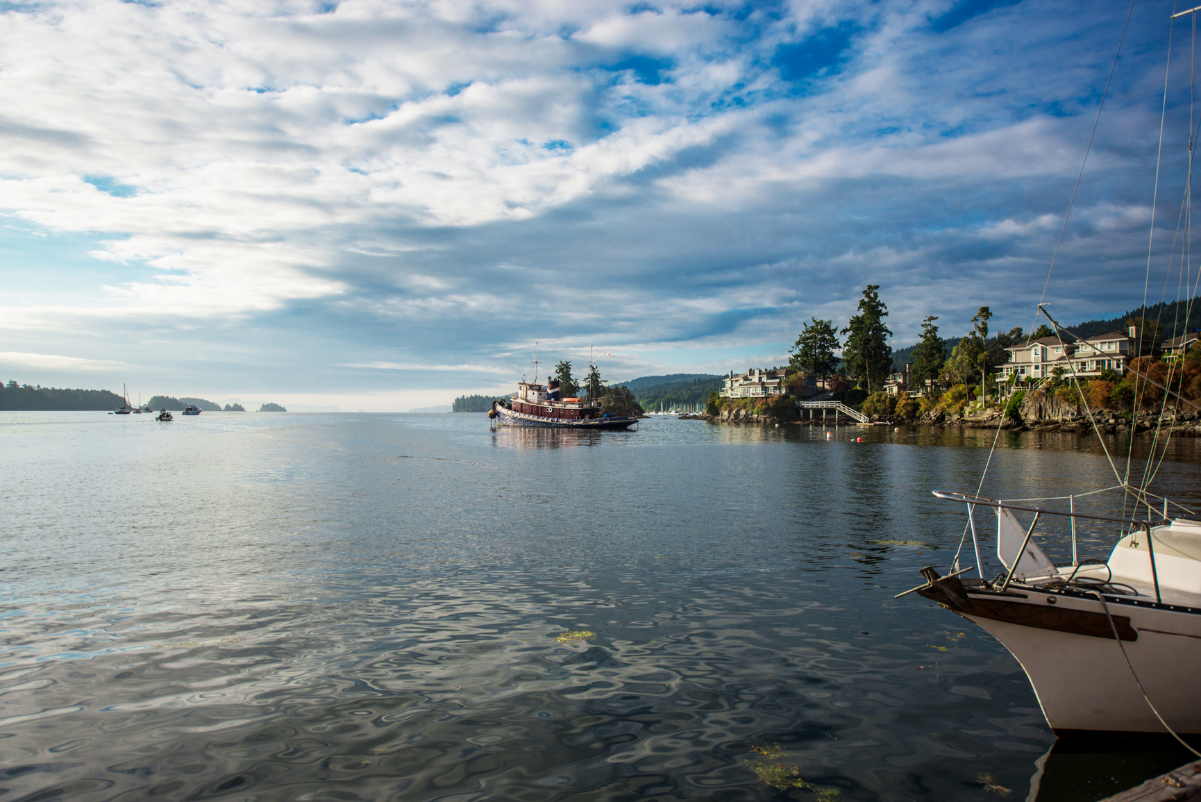 June 2020, Salt Spring Island Market Analysis Salt Spring Island Real