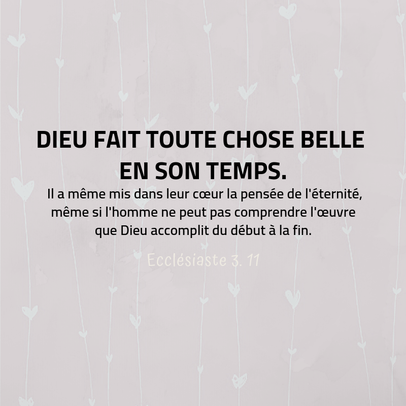 Les « clins d’oeil » de Dieu www.laBible.info