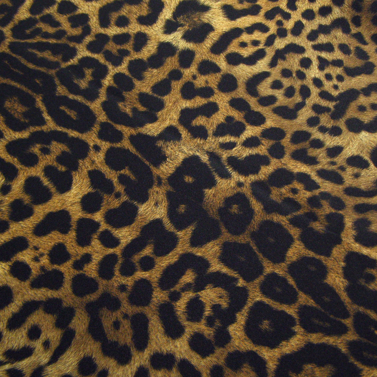 Jaguar Animal Print