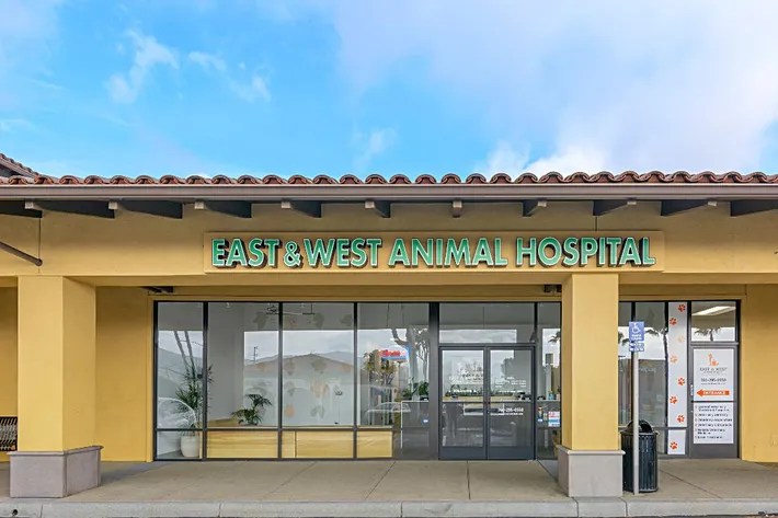 East & West Animal Hospital San Marcos Veterinary Services