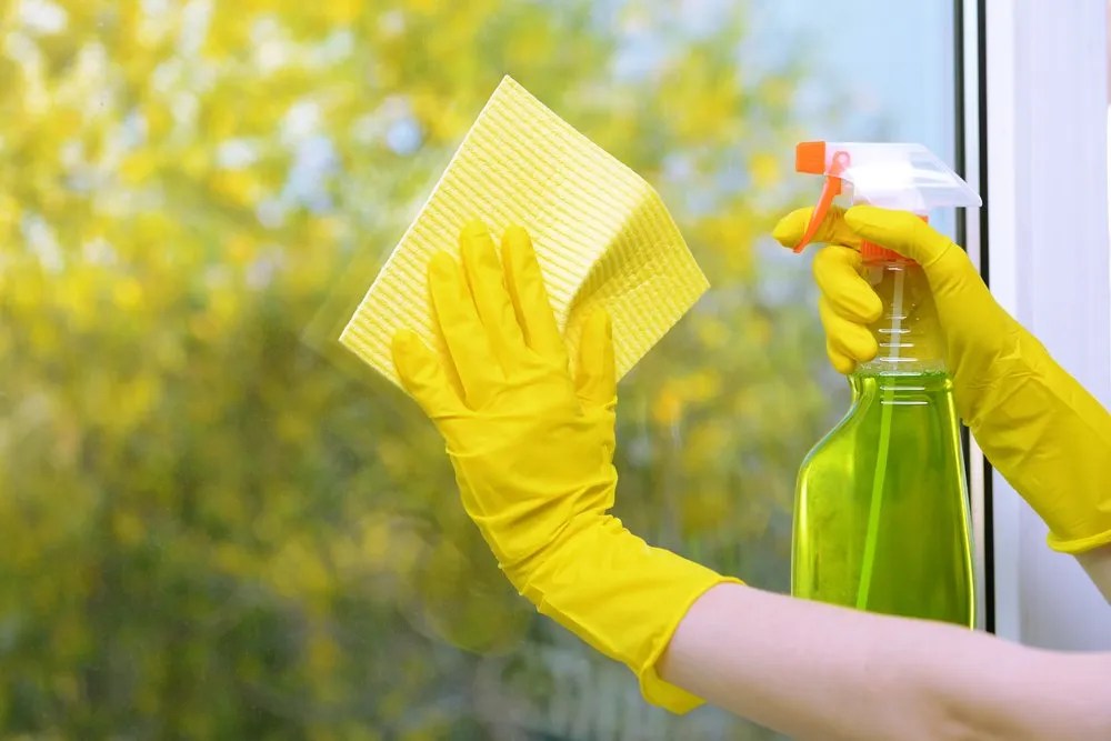 Green Cleaning Services in Boston, MA Eliete's Cleaning
