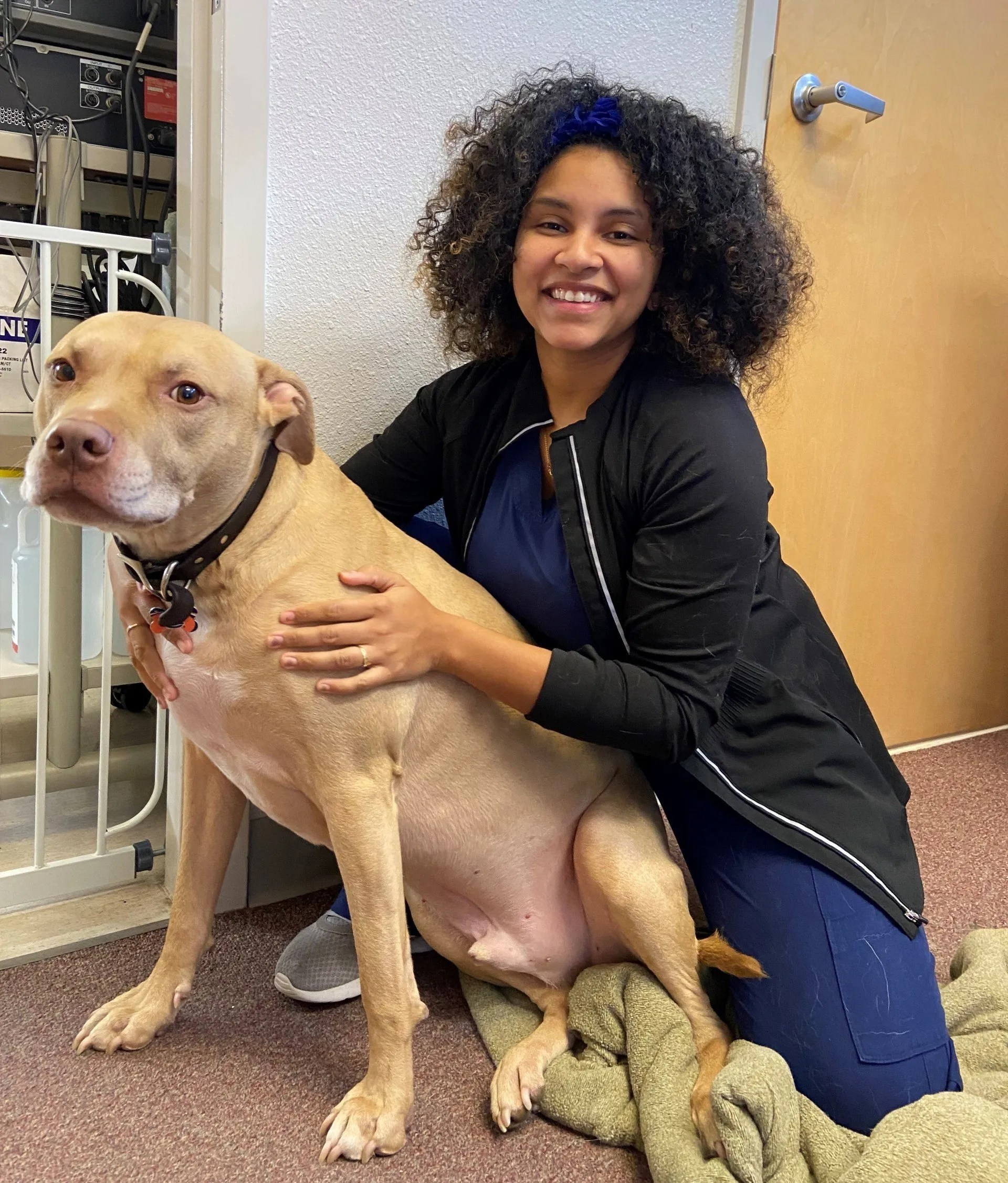 Peach Tree Animal Hospital River Oaks Animal Hospital 11 Photos
