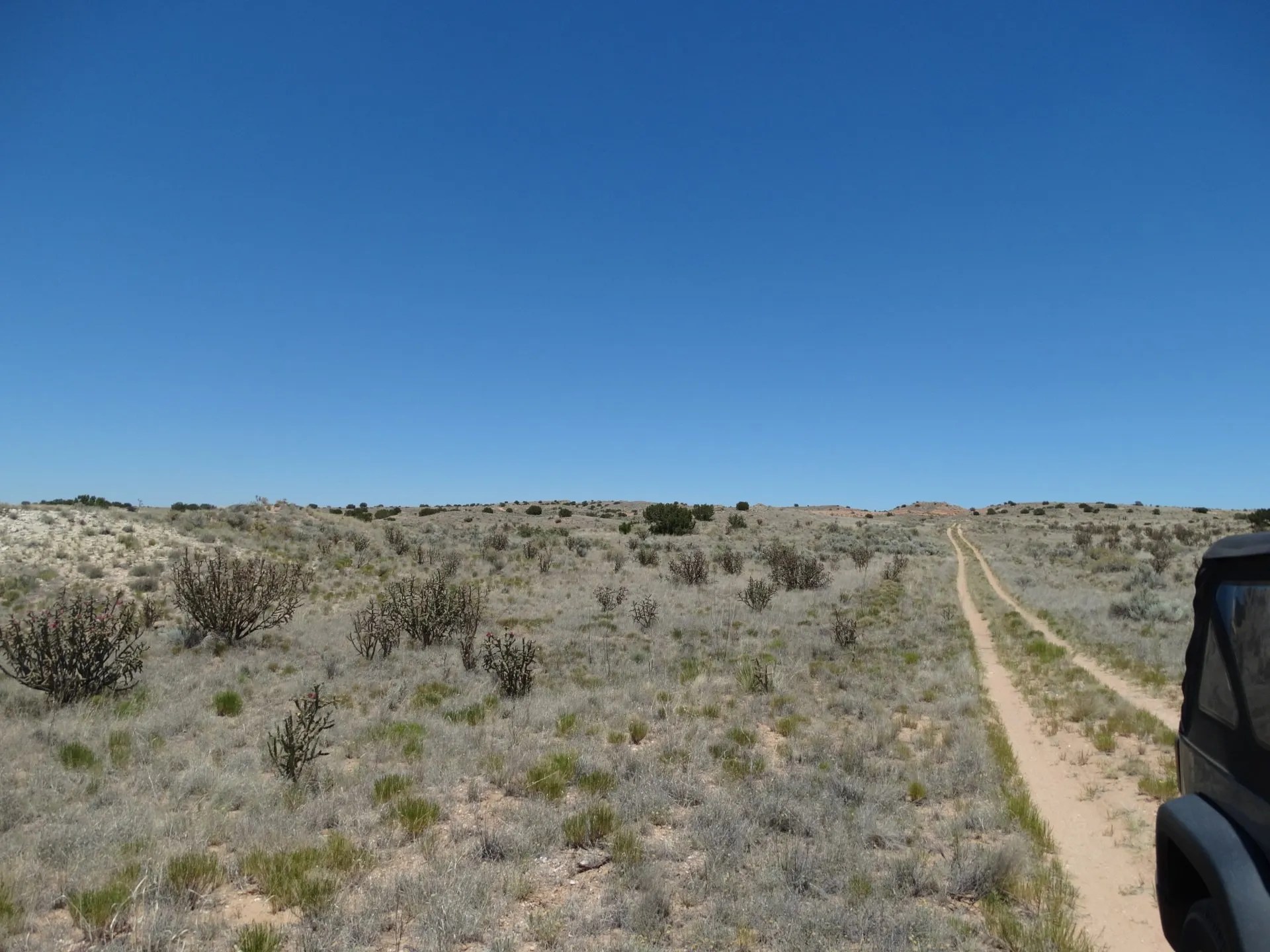 New Mexico Land for Sale Undeveloped Property Rio Rancho Estates