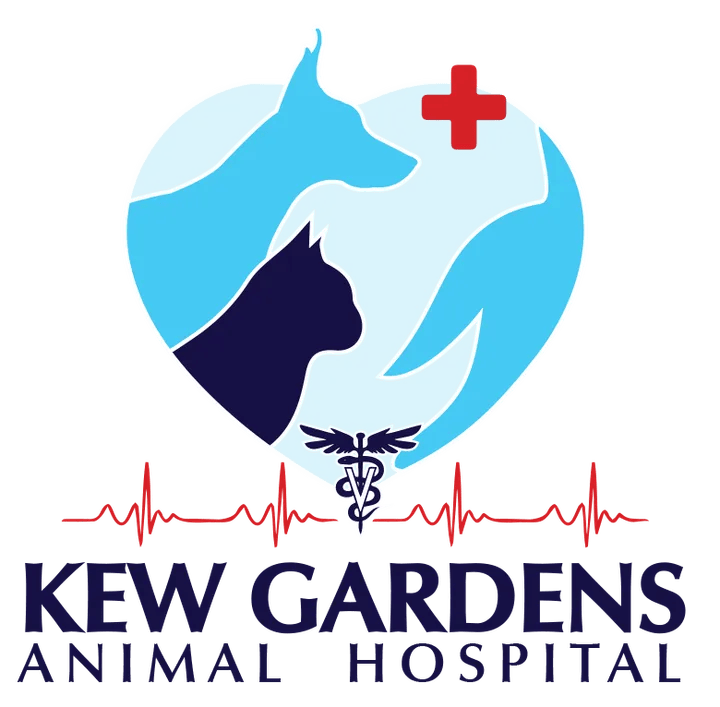 Contact UsKew Gardens Animal Hospital