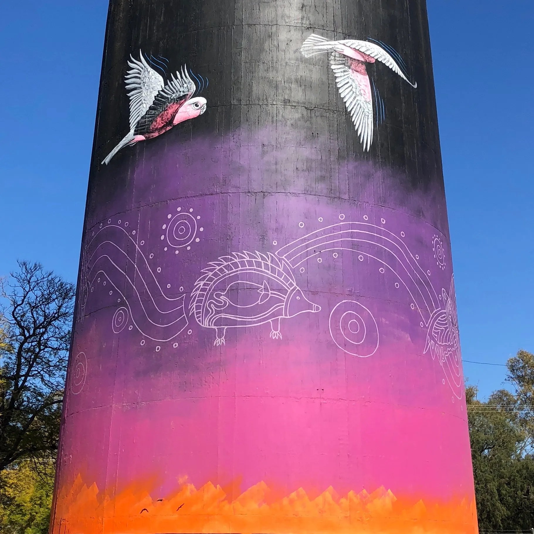 Coonamble Water Tower Art