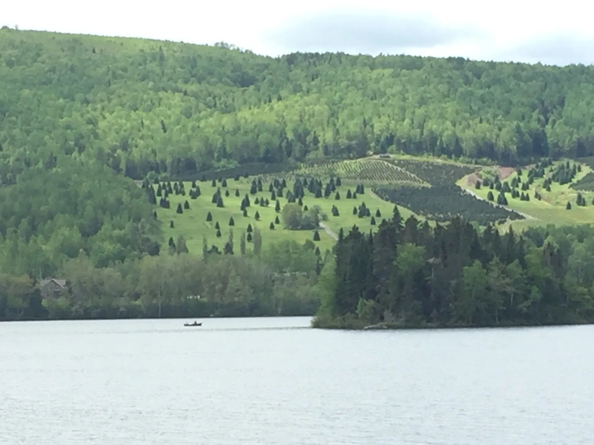Le monstre du Lac Baker