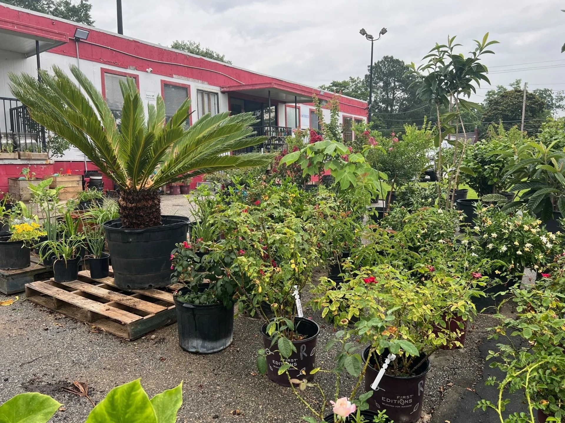 Rescued Plants Columbus, GA Earthworks