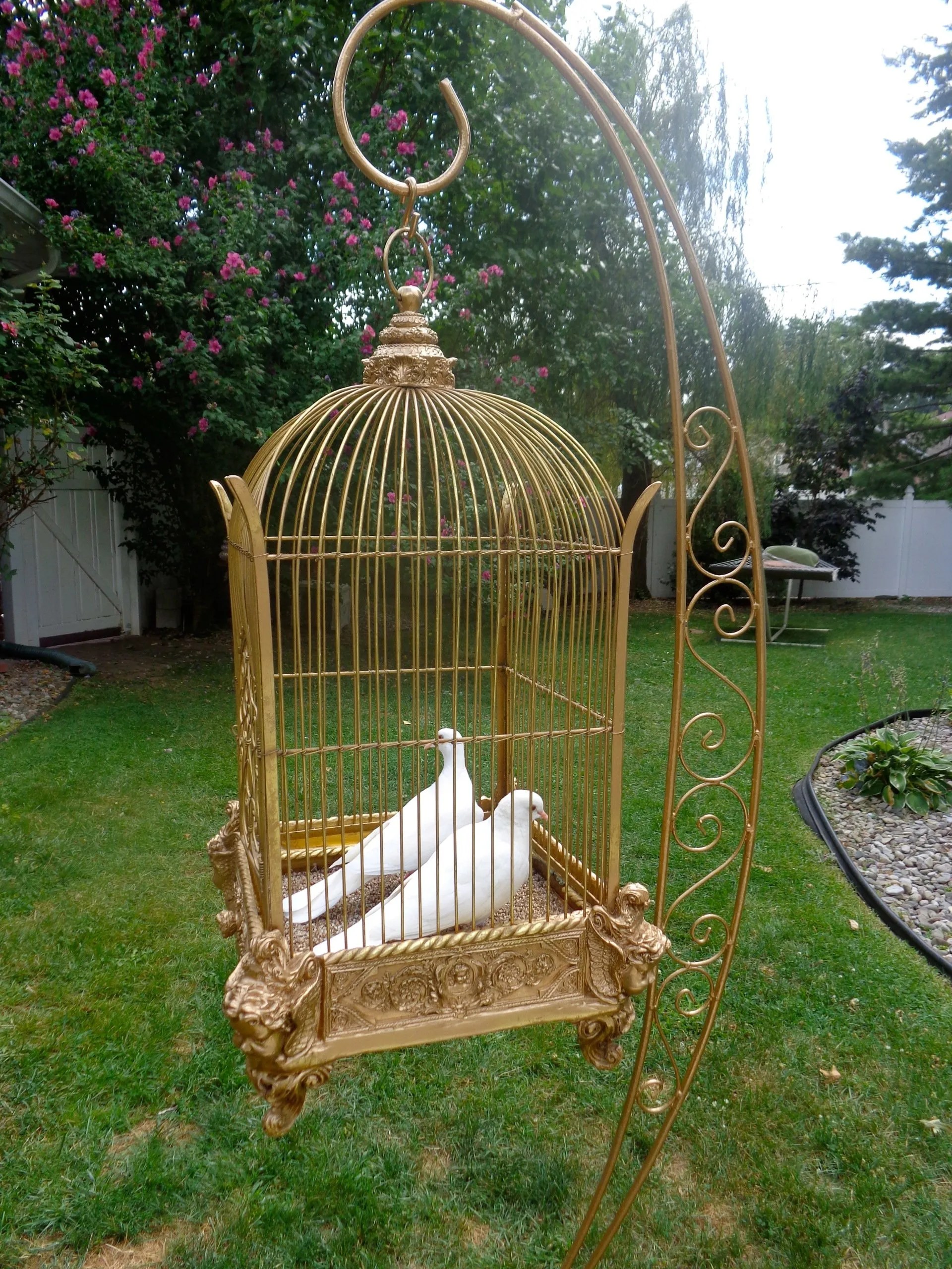 White Dove Release for a Wedding or Funeral Rent Wedding Doves in NJ