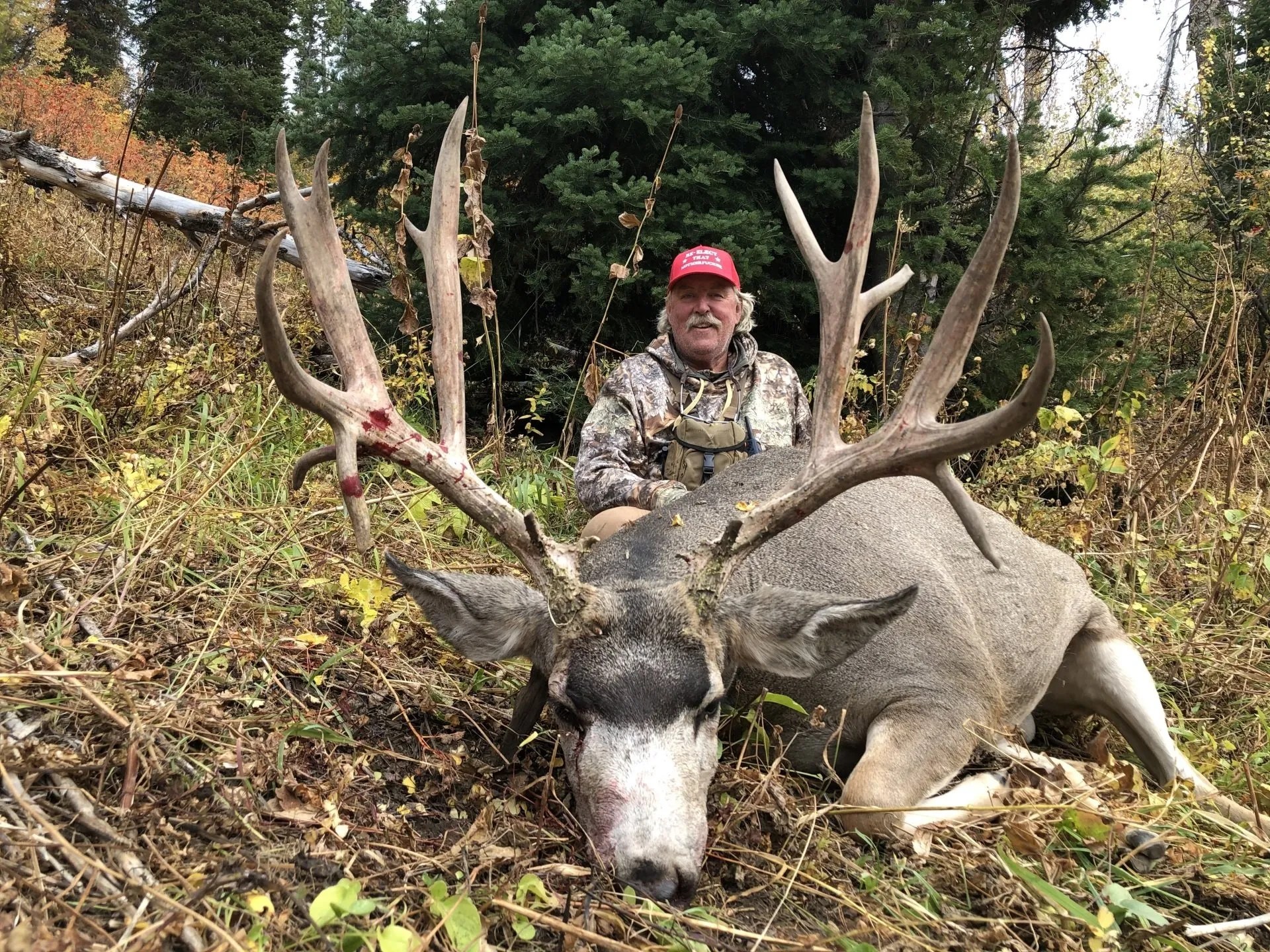 Wyoming Mule Deer Hunting Region G Outfitter, WY Mule Deer Hunt, Leftover tags