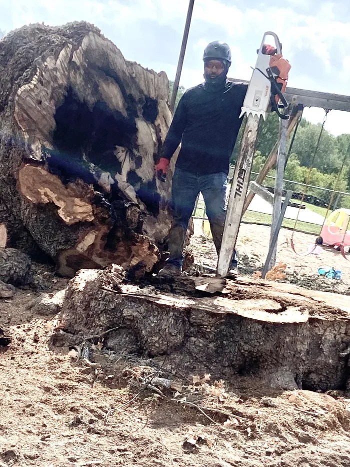 M&M Tree Care LLC Top Rated Tree Service Bastrop, Texas