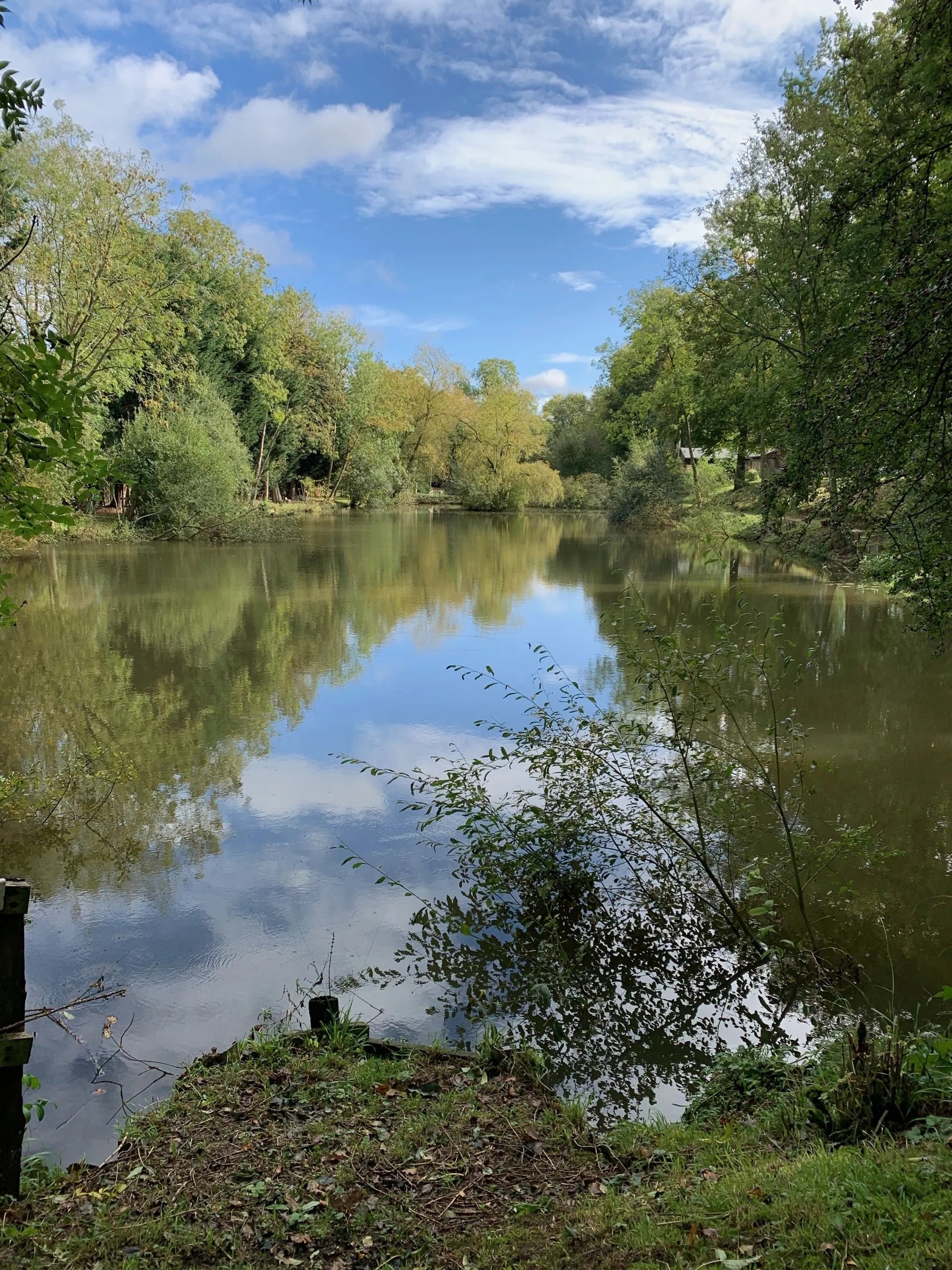 Willow Lakes and Fields