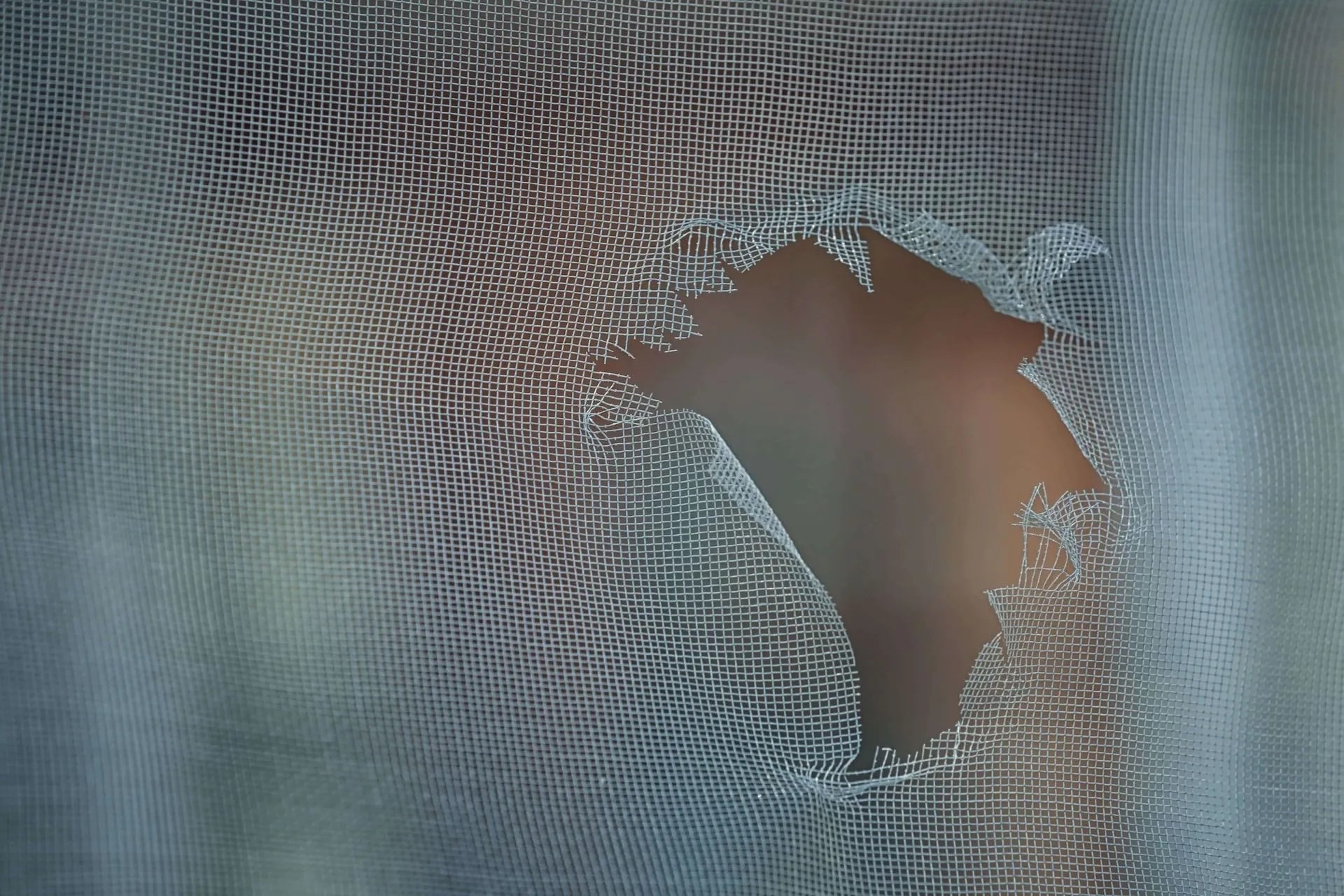 What Causes Holes In Window Screens? A Comprehensive Guide