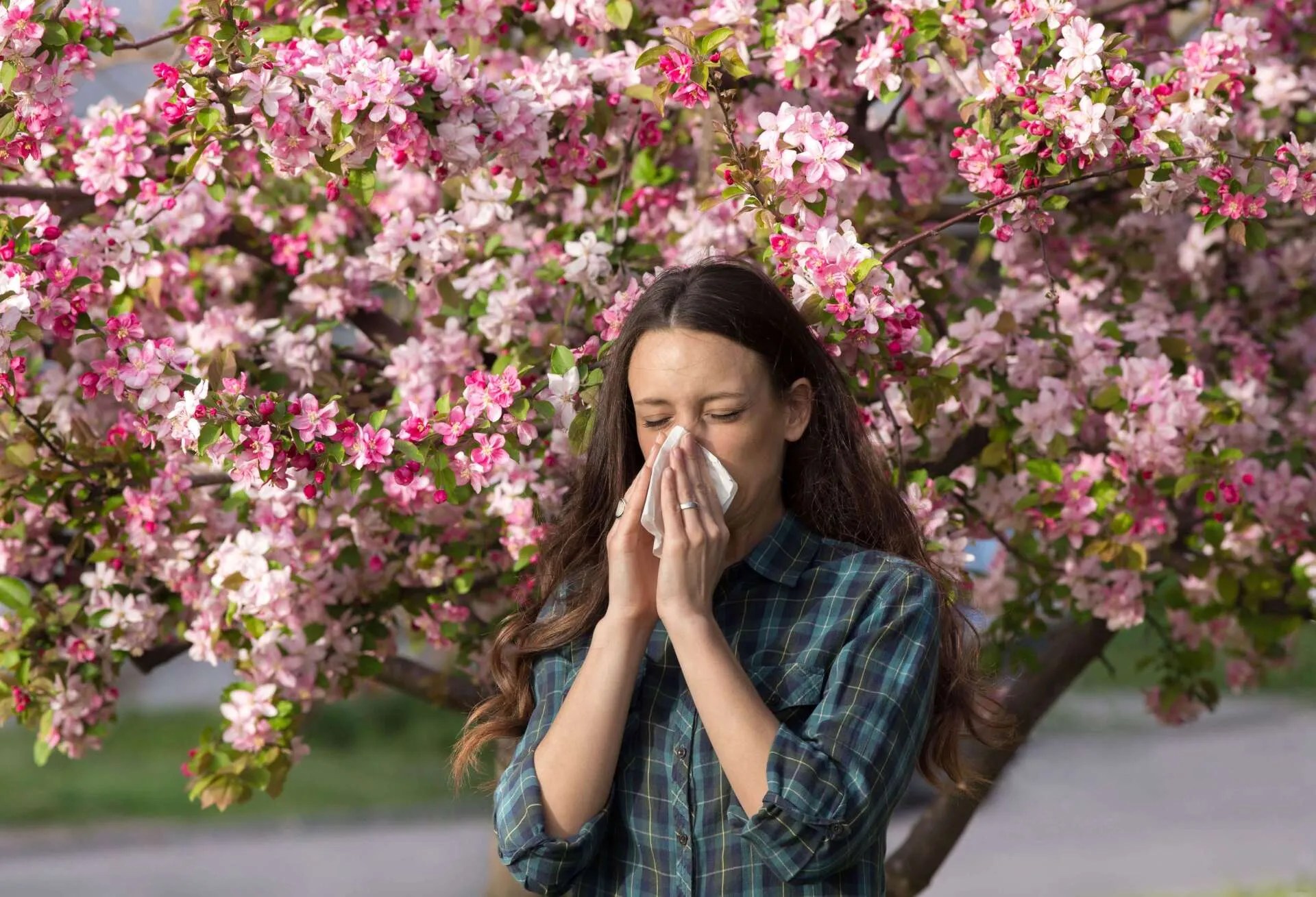 Can Pollen Get Through Window Screens? Screen Master