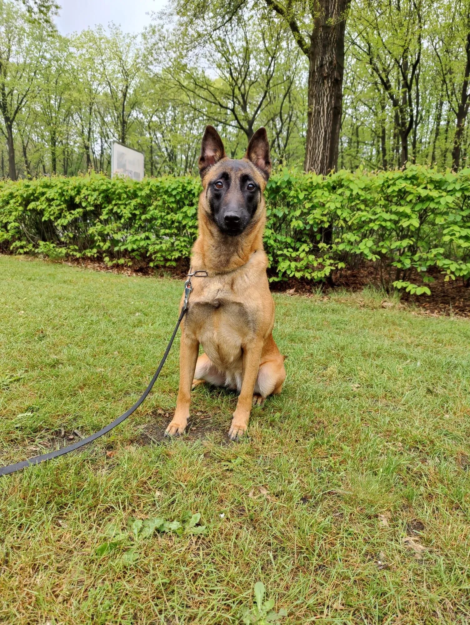 SOLD. KNPVPH1 Jessy V. Valesca's Home