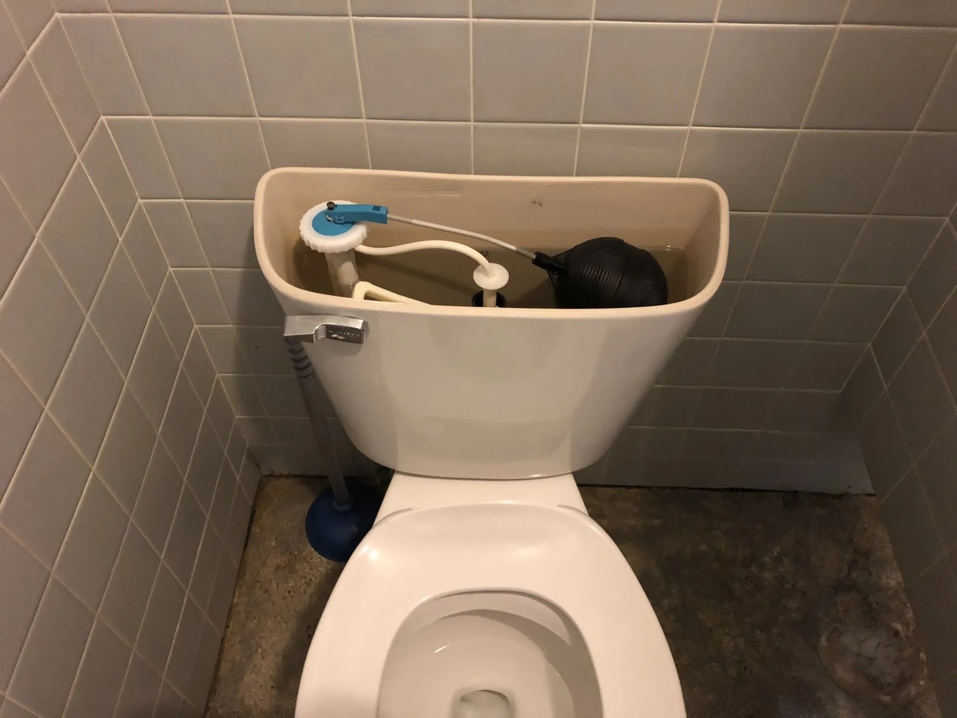 What to Do If Your Toilet Is Ghost Flushing