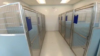 ☑ Aardvark animal hospital boarding todd's blog