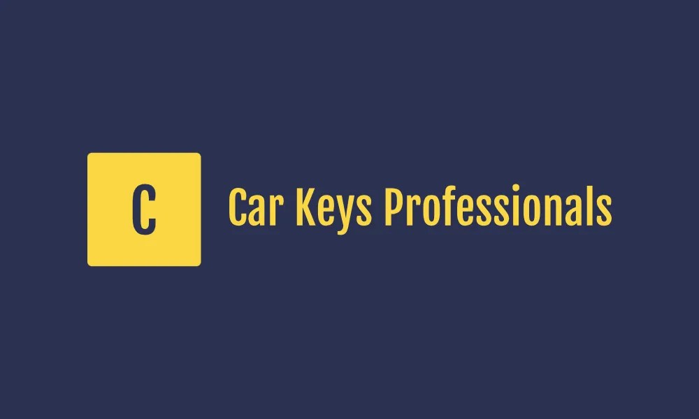 Car Keys Professionals All Keys Lost & Copy Service