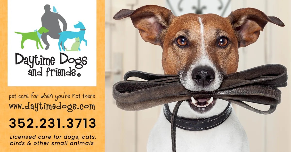 Professional Pet Sitting Gainesville, FL Daytime Dogs & Friends