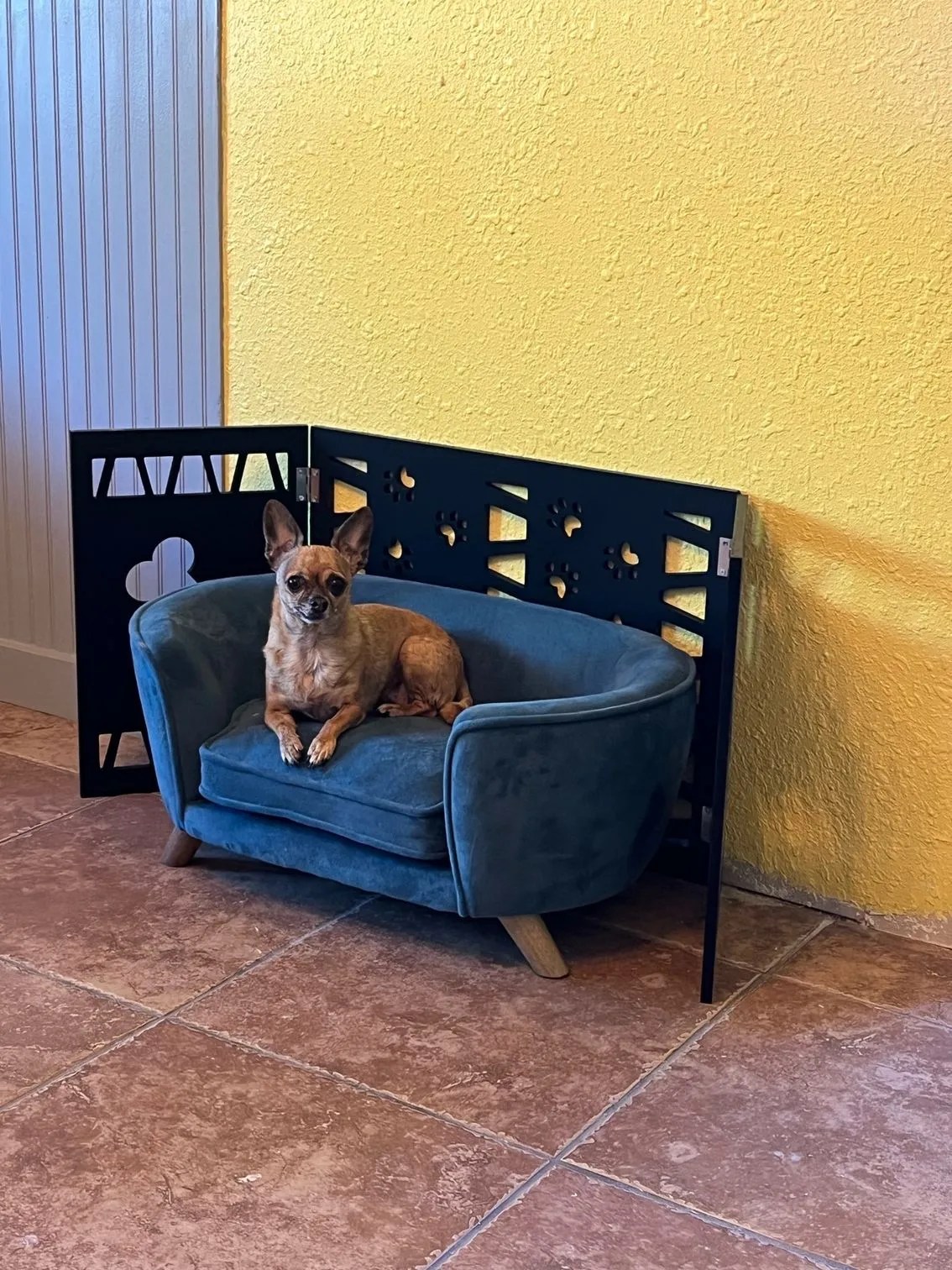 Dog Day Care, Kennels, Boarding & Grooming Euless, TX Sniffs and Licks