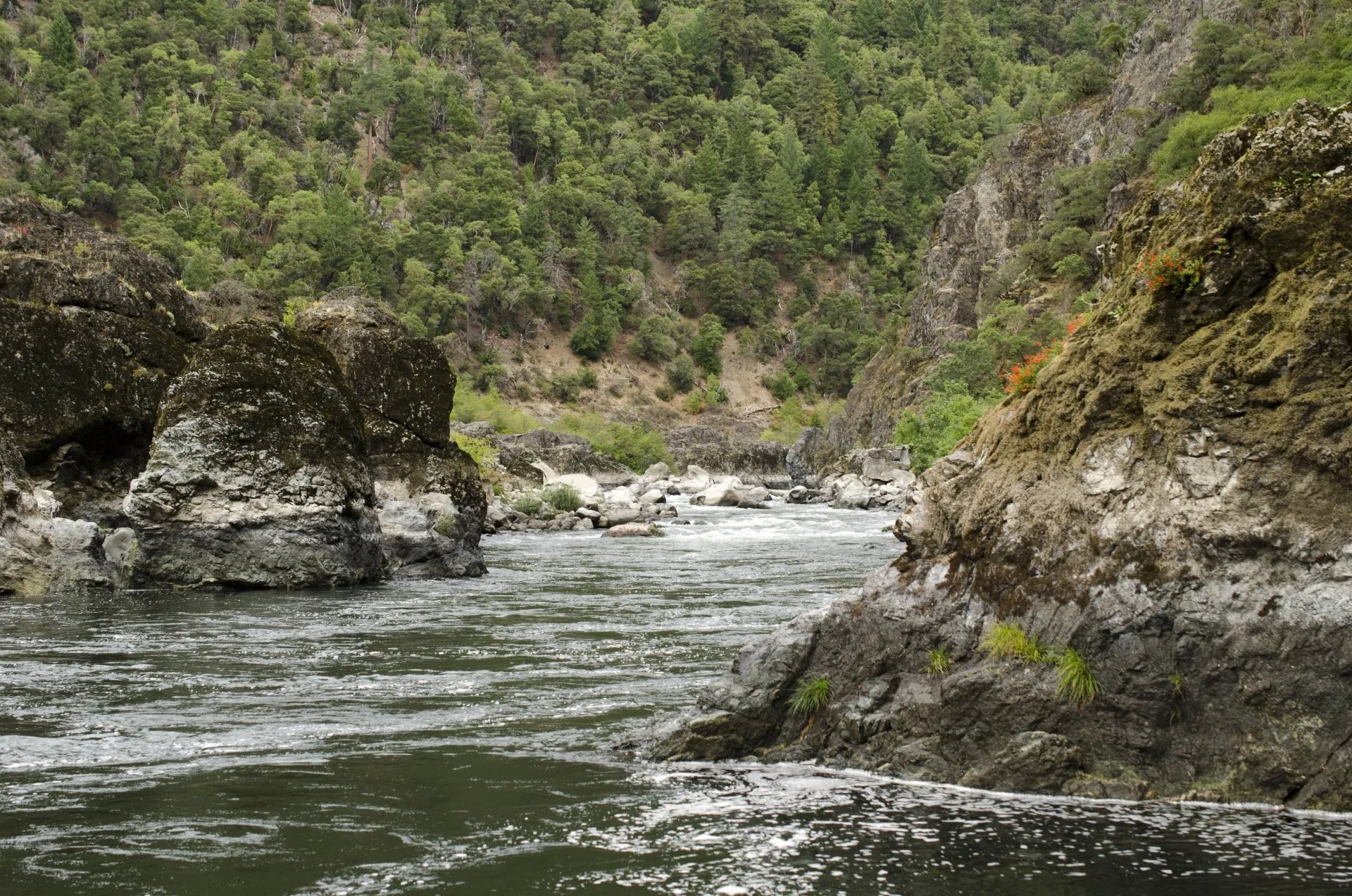 The Best Multi Day White Water Rafting Oregon Has to Offer
