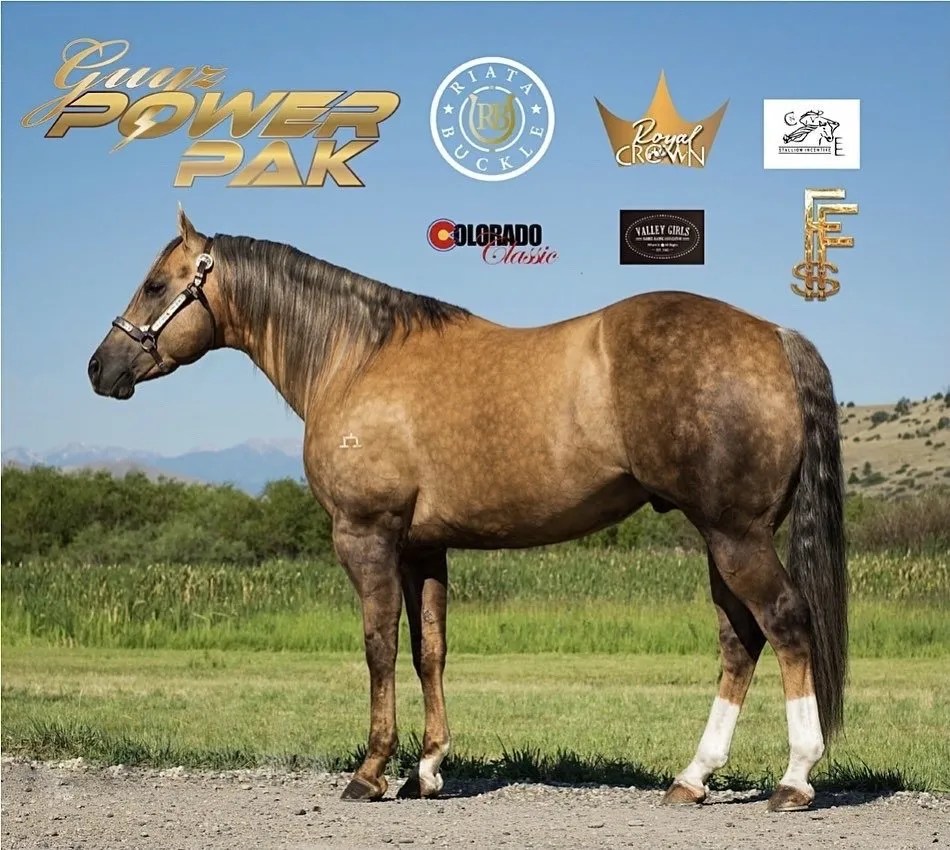 Guyz Power Pak Royal Crown