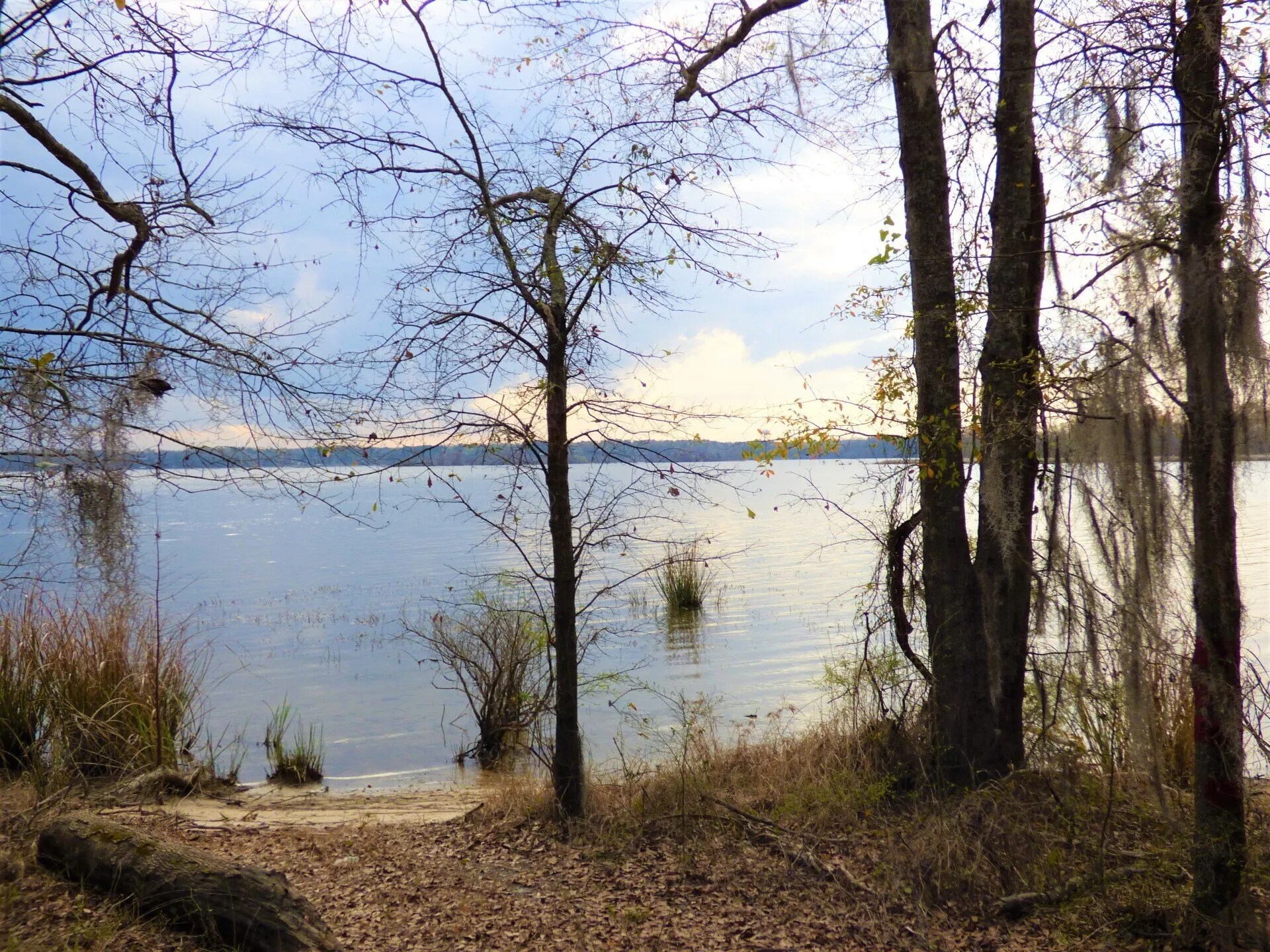 Our Properties Ingram Lakeside Vacation Rentals Headland, Alabama