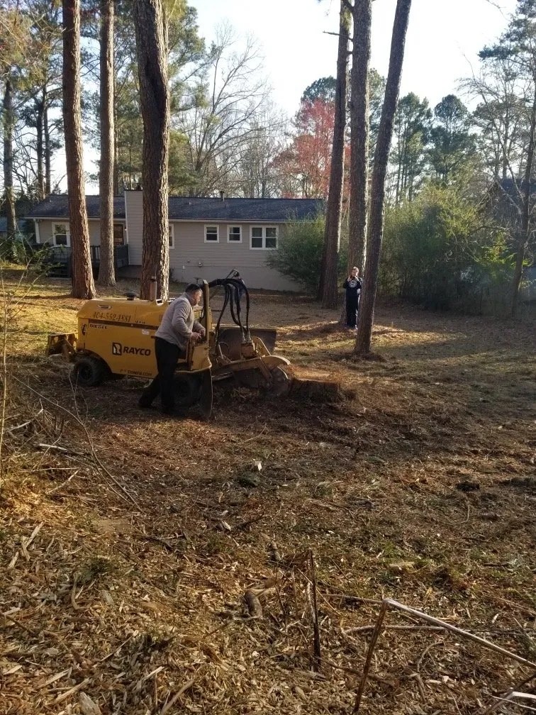 About Eddy's Tree Service & Landscaping LLC