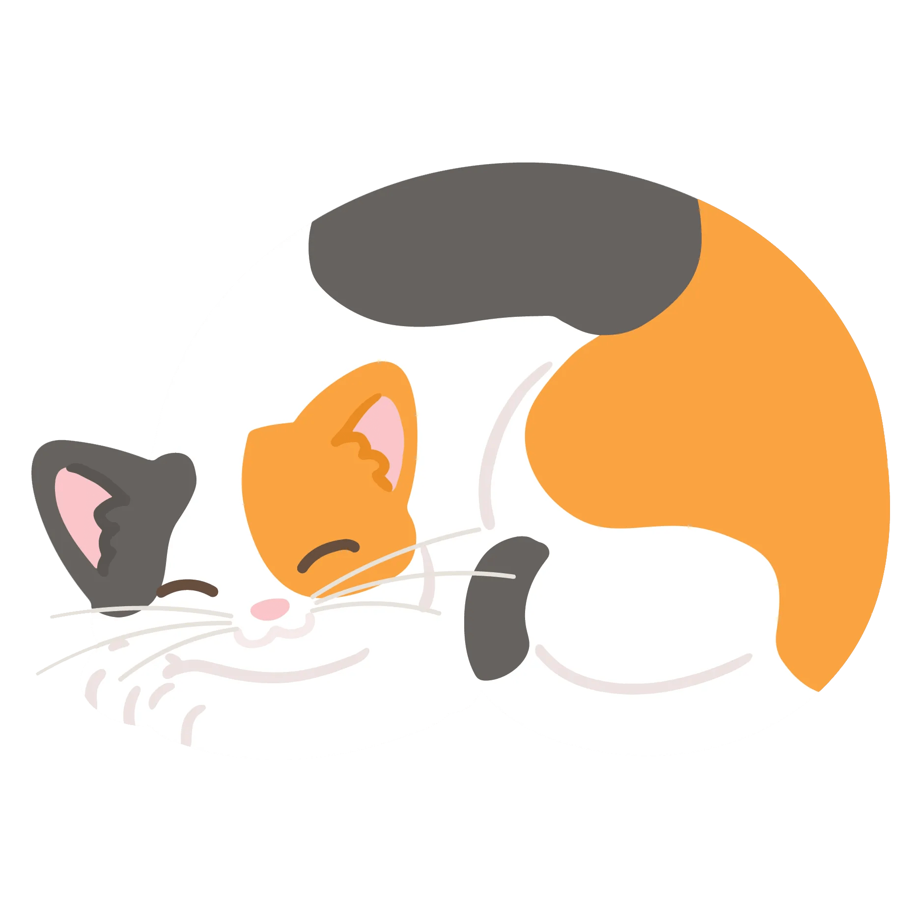 Fabric Store Honolulu, HI The Calico Cat